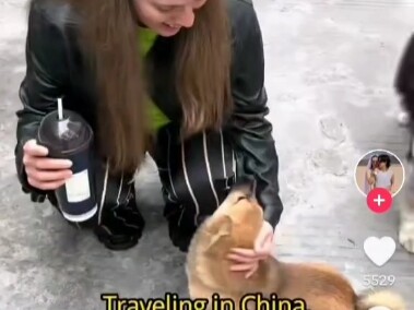 American tourists have discovered our elves and are venturing deeper and deeper.