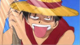 Luffy is gonna die of hungry