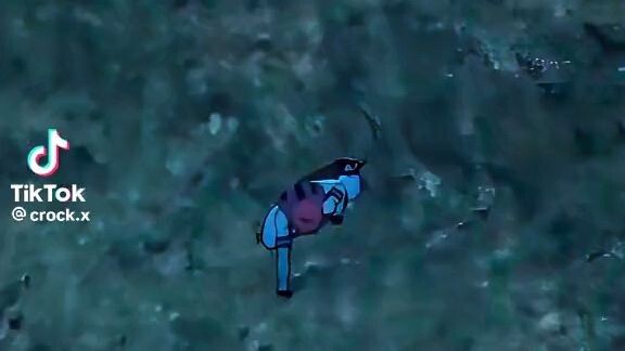 demon slayer kimetsu no yaiba