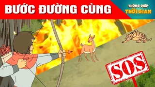 BƯỚC ĐƯỜNG CÙNG - PHIM HOẠT HÌNH  - TRUYỆN CỔ TÍCH -  KHOẢNH KHẮC KỲ DIỆU