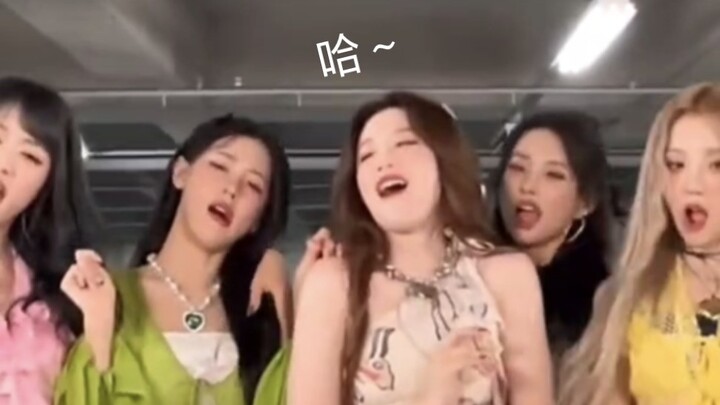 公司是不是给她们什么任务了……