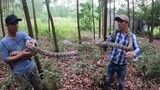 săn bắt ẩm thực vùng cao || rắn quý hiếm xuất hiện trong khu rừng cấm