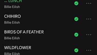 Lunch -billie eillish