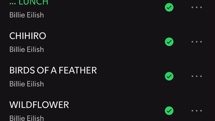 Lunch -billie eillish