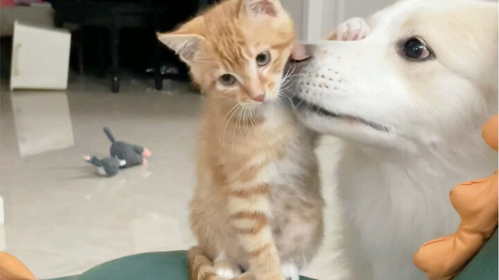 ยังคอยปกป้องน้องชายที่ยังไม่ตื่นด้วย แบร์ลาก็เป็นนางฟ้าจริงๆเลย