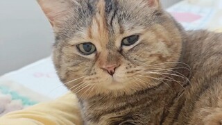 Who are you calling uneven-eyed? I don't have uneven eyes!