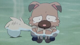 [Pokémon] Xiaozhi's unique avoidance tutorial