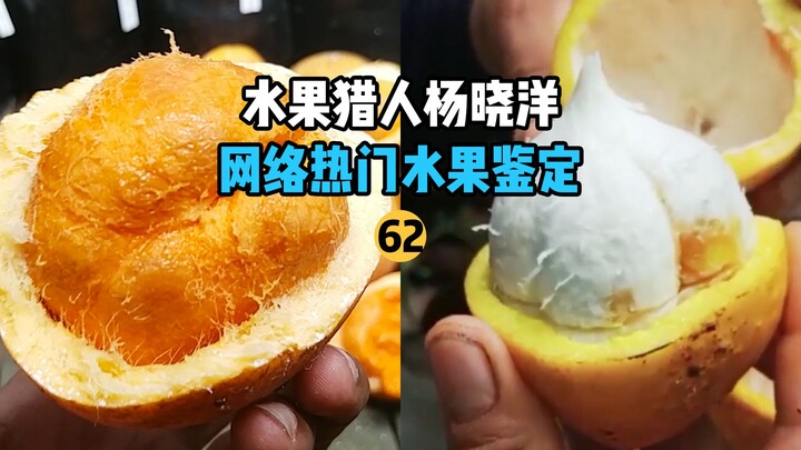 Online Trending Fruit Identification 62