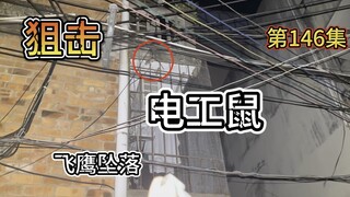 电工鼠仗着自己可以飞檐走壁，竟敢挑衅猎人，结果下一秒就被爆头！