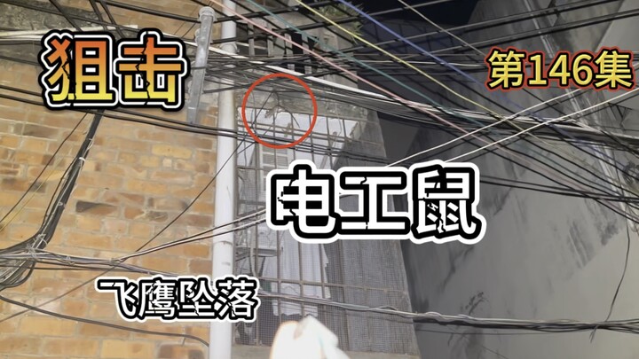 电工鼠仗着自己可以飞檐走壁，竟敢挑衅猎人，结果下一秒就被爆头！