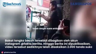 the sound of ambulances in the mouth