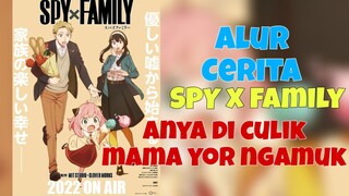 Anya di culik, mama Yor ngamuk. Alur cerita film "SPY x FAMILY"