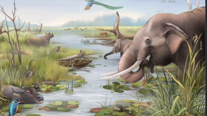 博物杂志把西周云梦泽复原出来了