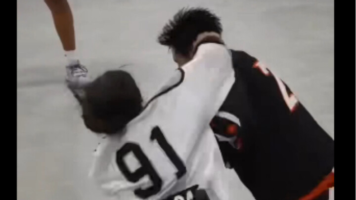 Brawls During a Hockey Game