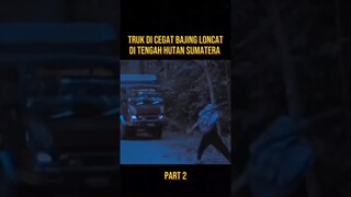 DI CEGAT BAJING LONCAT HUTAN SUMATRA