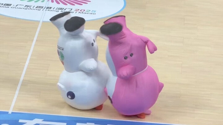 “Nhân vật nổi bật” tại Đại hội Thể thao Toàn quốc: dễ thương, kỳ lạ, đi đến đâu cũng là người nổi bậ