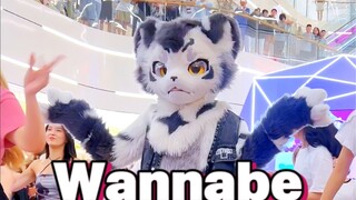 Ratusan orang berkumpul untuk menyaksikan tarian fursuit Wannabe! ! ! !