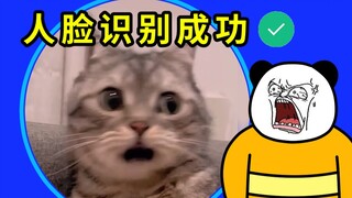 “当 代 热 门 软 件 现 状”