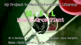 How to Grow Plant 2023