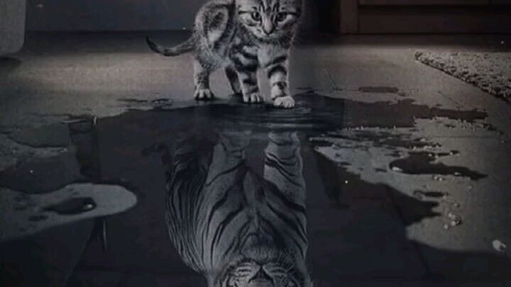 รู้จักผมเท่าที่ผมอยากให้รู้จักก็พอ