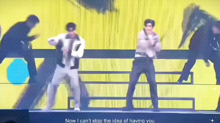 会长和丝丝的这一段舞蹈，太好看了，每天重复无数次。