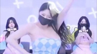 Panda Class Korea KBJTV Hot #14