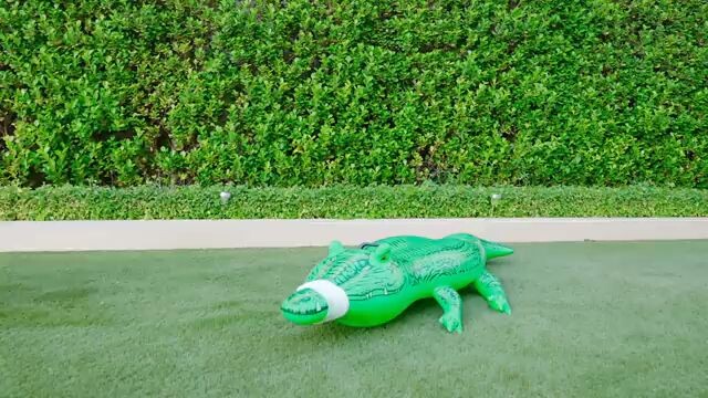 Educational video for kids....Ctto.