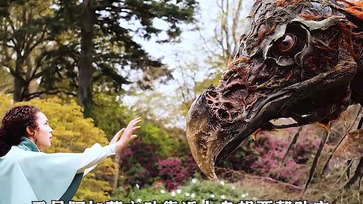 Watch the classic action fantasy film "Good and Evil Law School" in one breath