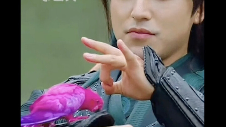 Burung beo yang bulunya bahkan belum tumbuh sempurna dipakai tim serial pendek pakai pewarna beracun