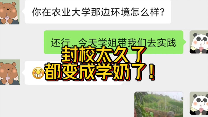 We’ve been locked down so long, we’ve all turned into “school milk”!