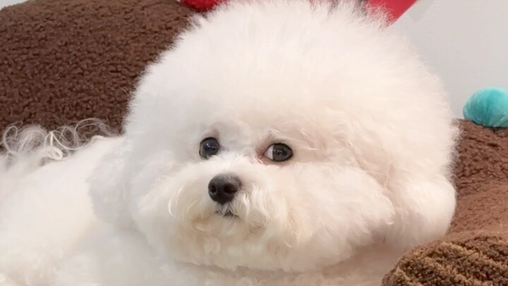 أشعر أن سمعتي قد تدمرت تمامًا في قلبه.