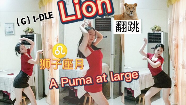 [(G)I-DLE "Lion" Cover Dance] Leo's Moon: An Evasive Wild Lion [Xingxingzi]