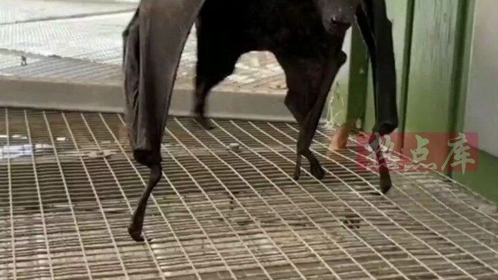 I just got released. This time the mask issue has nothing to do with me, right?