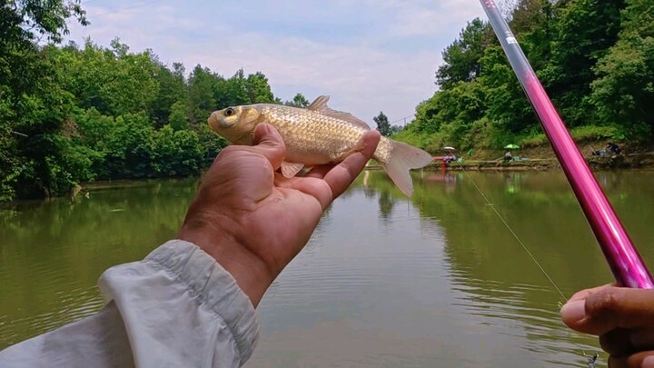 Casual Fishing Board Owner