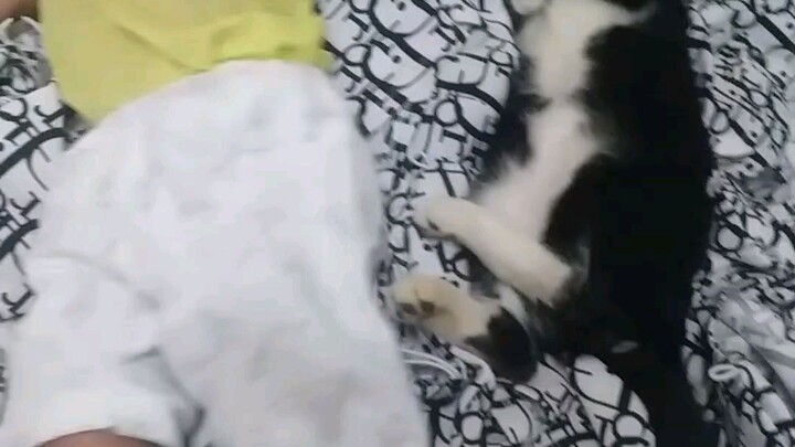 #my babies photoshoot kuno..