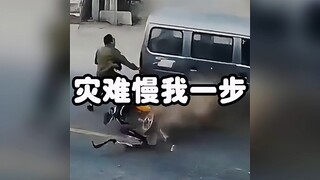 灾难始终慢我一步