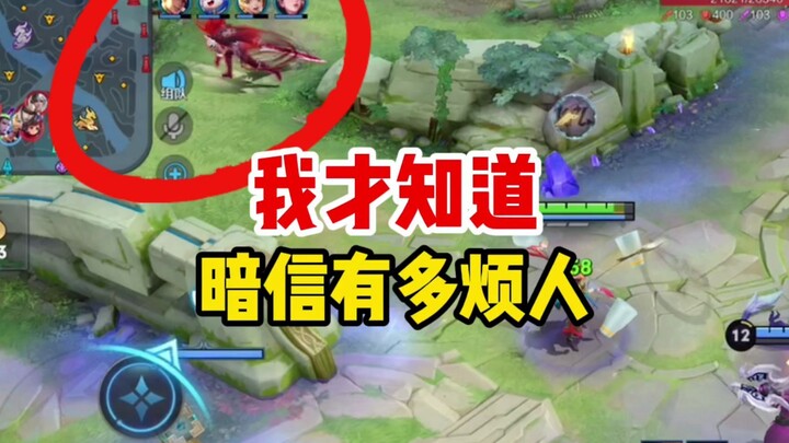 一个刚玩暗信的粉丝，竟然打爆了3个金标外加我？