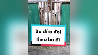 3 đứa đòi theo ba. cunyeucuadua chó chócon chókhôn chócute xuhuong fyp