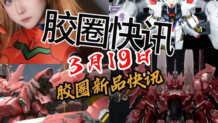 【3月19日胶圈快讯】
