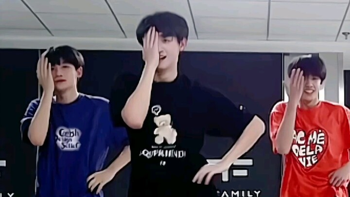 【Chu Chí Tân】Nhảy vũ đạo nhóm nữ cùng mèo là niềm vui xuất phát từ tận đáy lòng!