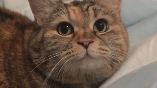 أتمنى أن يكون طعامي أفضل غدًا