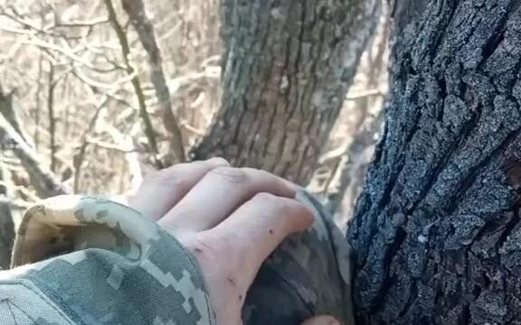 ทหารยูเครนบนต้นไม้ดูทหารรัสเซียเดินผ่านมา