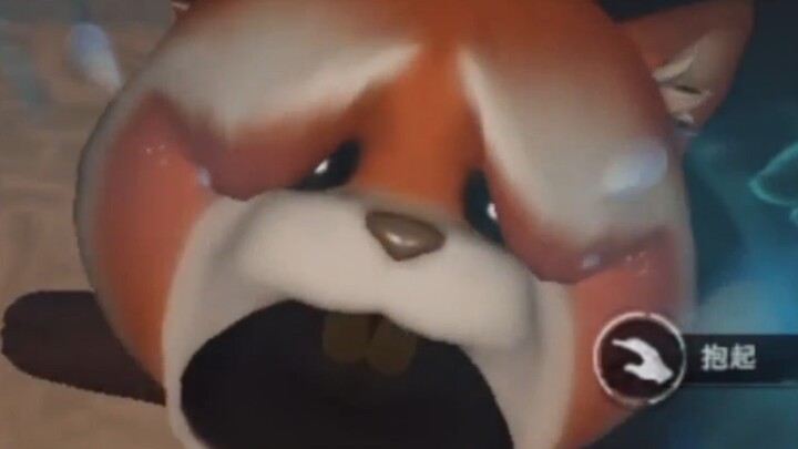 Red Panda, but the strong wind blew it away!