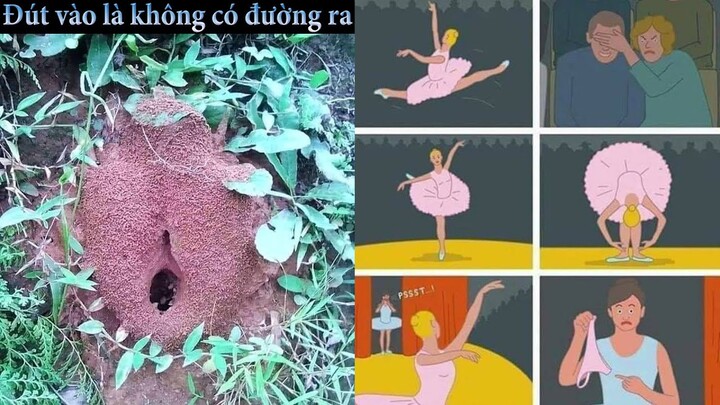 Meme, top comment và ảnh chế hài hước #11 - Trường hợp này thì tôi chịu thua