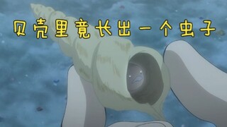 贝壳里长出一个虫子，女孩听见贝壳声后竟变成哑巴