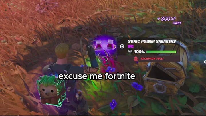 another day, another bug in fortnite