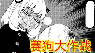 间谍过家家78话：狗狗大比拼，阿妮亚身世即将揭晓