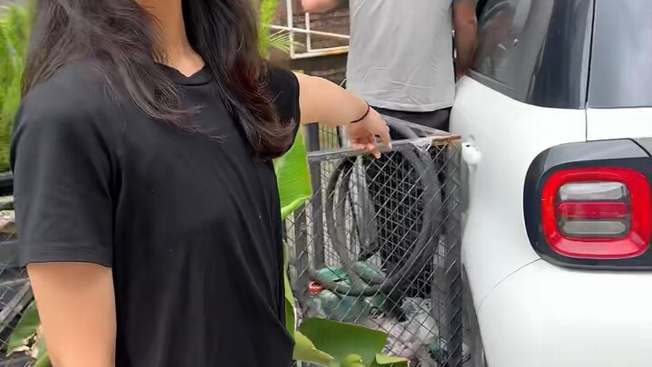 ฉันจะขายรถแล้ว!