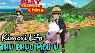 PLAY TOGETHER CHINA | MUA XE MỚI VÀ THU PHỤC MÈO Ú , NUÔI CÁ , ĐI NHÀ HÀNG | KIMORI LIFE VIỆT HOÁ