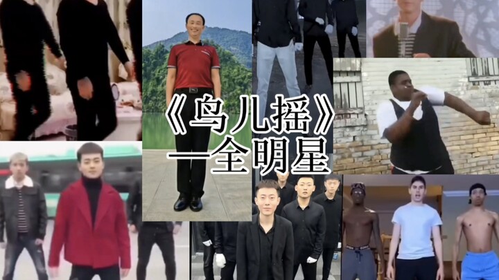 ⚡Bird Shake (4/4 Time All-Star)⚡